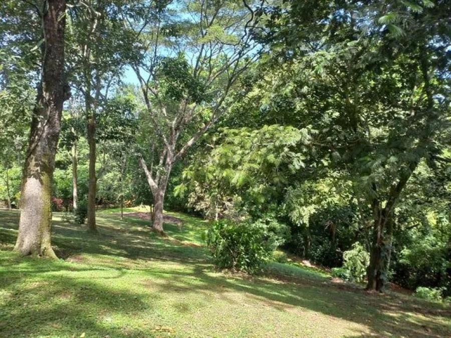 Venta de Lote en San Pedro de Turrubares. RAH 24-723 PRECIO REBAJADO - Venta en Turrubares, photo 4