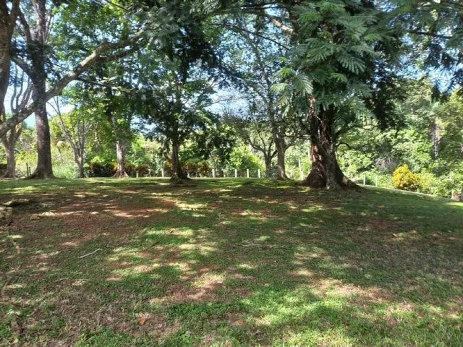 Venta de Lote en San Pedro de Turrubares. RAH 24-723 PRECIO REBAJADO - Venta en Turrubares, photo 6