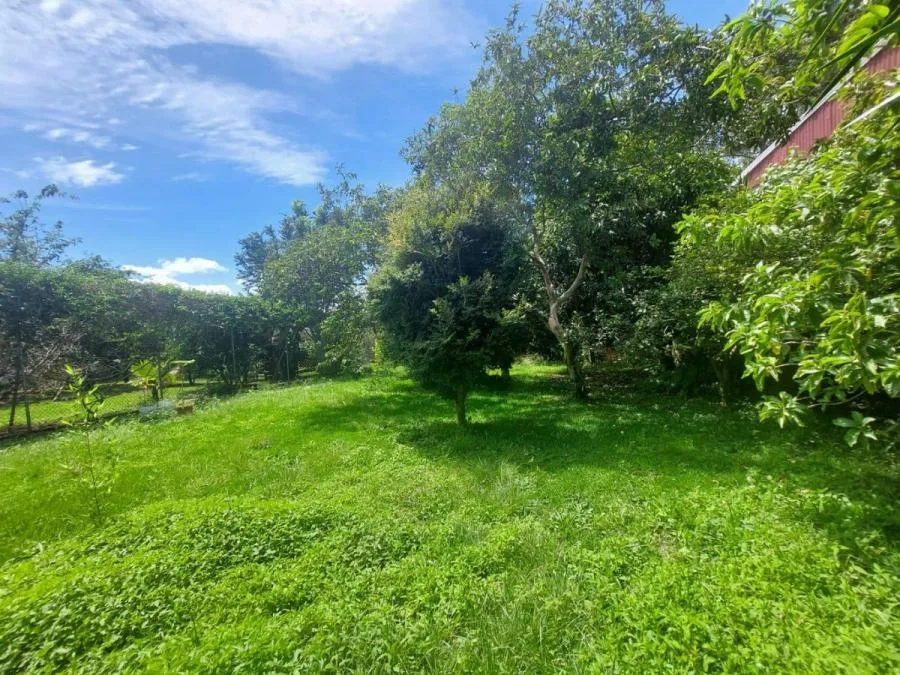 Venta de Lote en San Pedro de Turrubares. RAH 24-723 PRECIO REBAJADO - Venta en Turrubares, photo 9