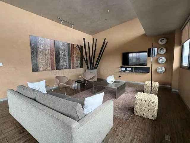 Alquiler de Apartamento en Montes de Oca-San Pedro. , photo 8