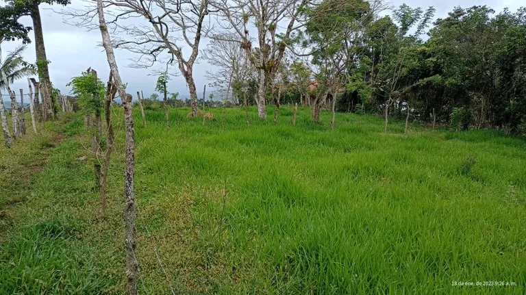Quinta Aurora: Mountain and Lake View lot, ready for construction, photo 7