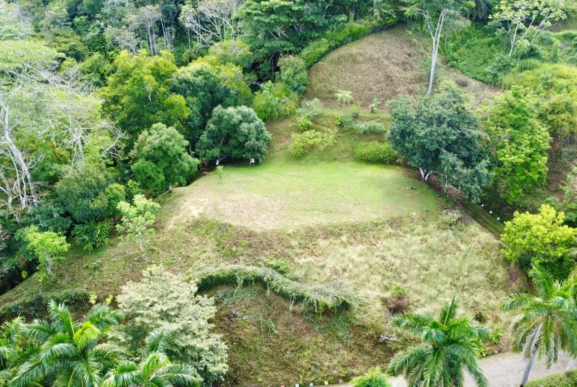 PROPERTY WITH OCEAN AND MOUNTAIN VIEWS, IN LAGUNAS – 3.6 ACRES, photo 2