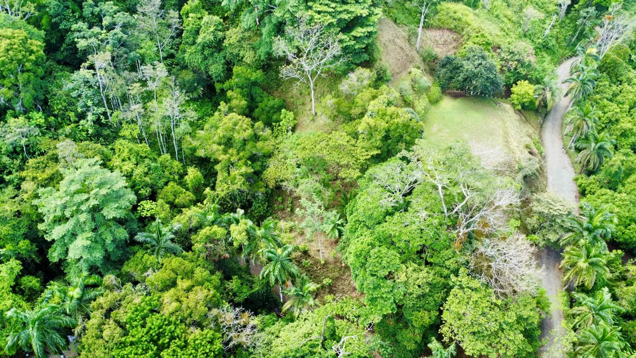 PROPERTY WITH OCEAN AND MOUNTAIN VIEWS, IN LAGUNAS – 3.6 ACRES, photo 13