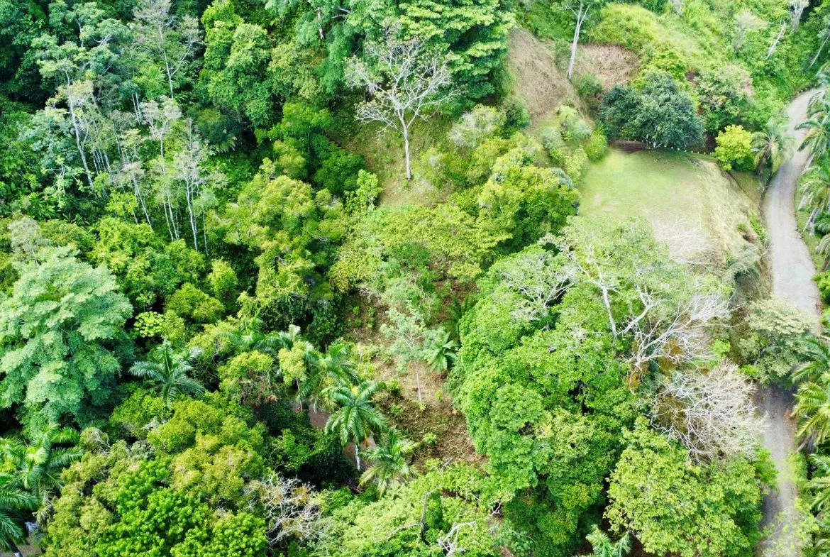 PROPERTY WITH OCEAN AND MOUNTAIN VIEWS, IN LAGUNAS – 3.6 ACRES, photo 14