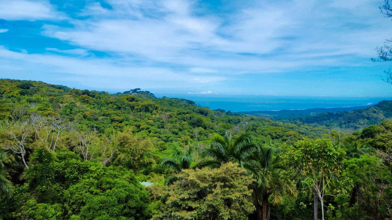 PROPERTY WITH OCEAN AND MOUNTAIN VIEWS, IN LAGUNAS – 3.6 ACRES, photo 15