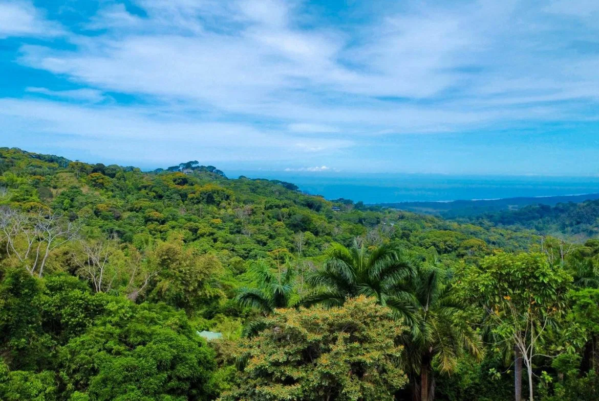 PROPERTY WITH OCEAN AND MOUNTAIN VIEWS, IN LAGUNAS – 3.6 ACRES, photo 16