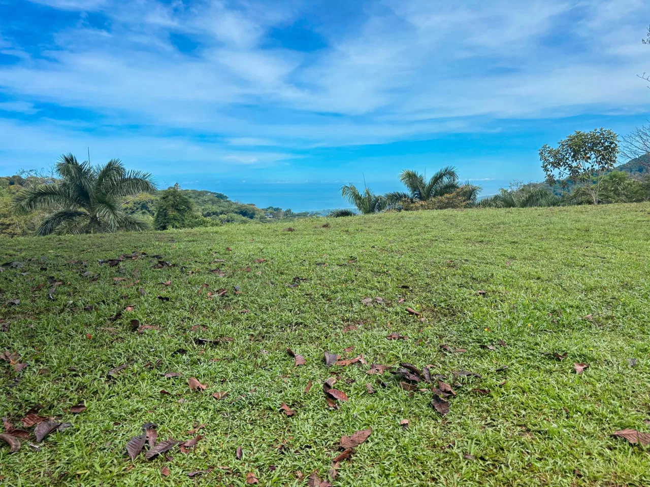 PROPERTY WITH OCEAN AND MOUNTAIN VIEWS, IN LAGUNAS – 3.6 ACRES, photo 19