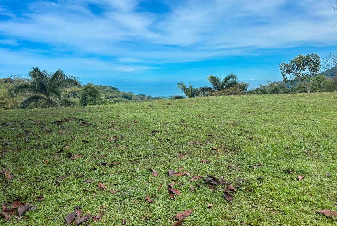 PROPERTY WITH OCEAN AND MOUNTAIN VIEWS, IN LAGUNAS – 3.6 ACRES, photo 20