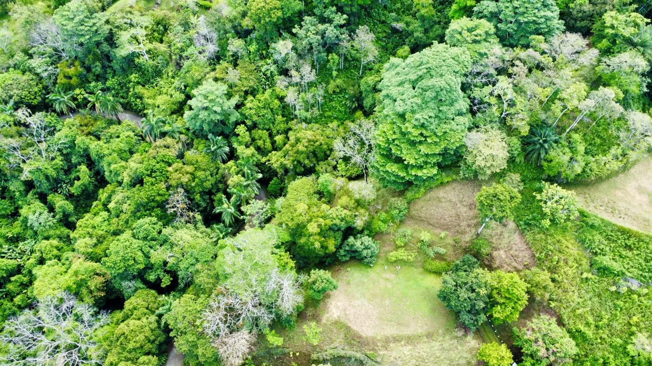 PROPERTY WITH OCEAN AND MOUNTAIN VIEWS, IN LAGUNAS – 3.6 ACRES, photo 3