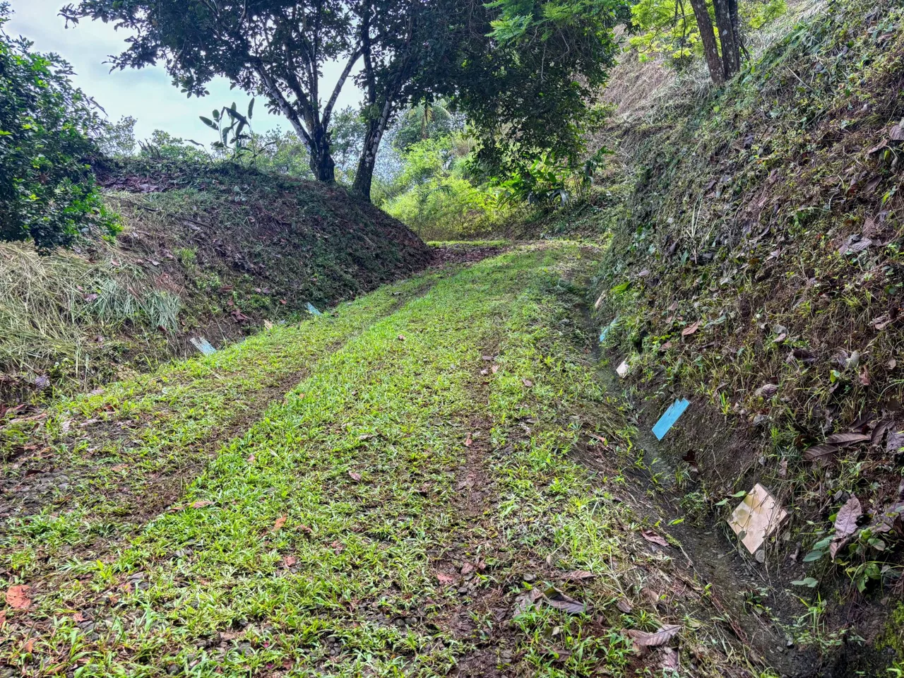 PROPERTY WITH OCEAN AND MOUNTAIN VIEWS, IN LAGUNAS – 3.6 ACRES, photo 21
