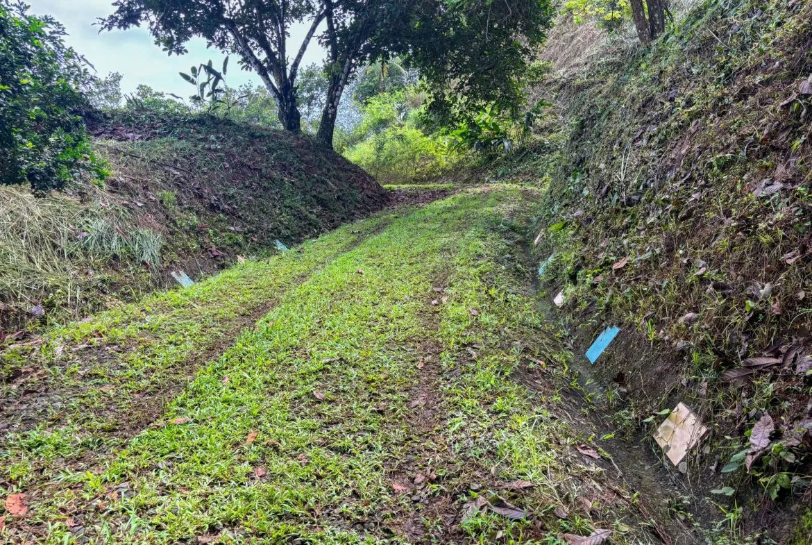 PROPERTY WITH OCEAN AND MOUNTAIN VIEWS, IN LAGUNAS – 3.6 ACRES, photo 22