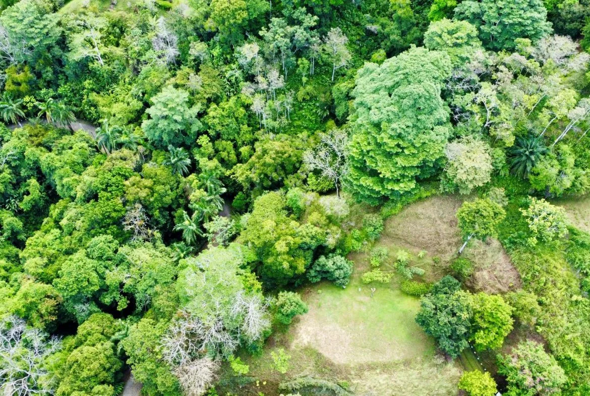 PROPERTY WITH OCEAN AND MOUNTAIN VIEWS, IN LAGUNAS – 3.6 ACRES, photo 4