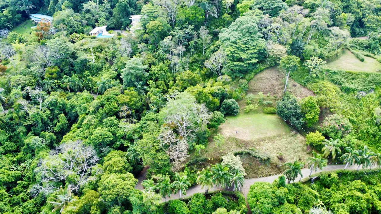 PROPERTY WITH OCEAN AND MOUNTAIN VIEWS, IN LAGUNAS – 3.6 ACRES, photo 5
