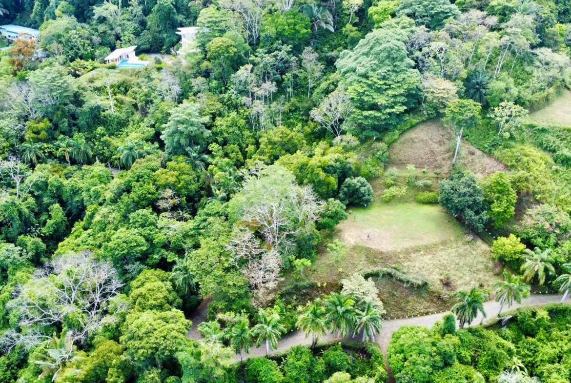 PROPERTY WITH OCEAN AND MOUNTAIN VIEWS, IN LAGUNAS – 3.6 ACRES, photo 6