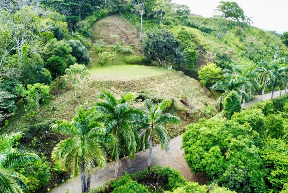 PROPERTY WITH OCEAN AND MOUNTAIN VIEWS, IN LAGUNAS – 3.6 ACRES, photo 8