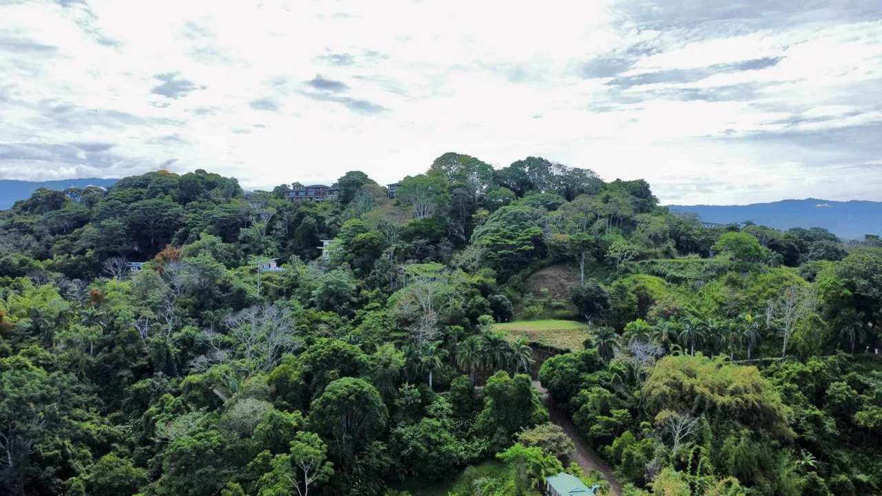 PROPERTY WITH OCEAN AND MOUNTAIN VIEWS, IN LAGUNAS – 3.6 ACRES, photo 9