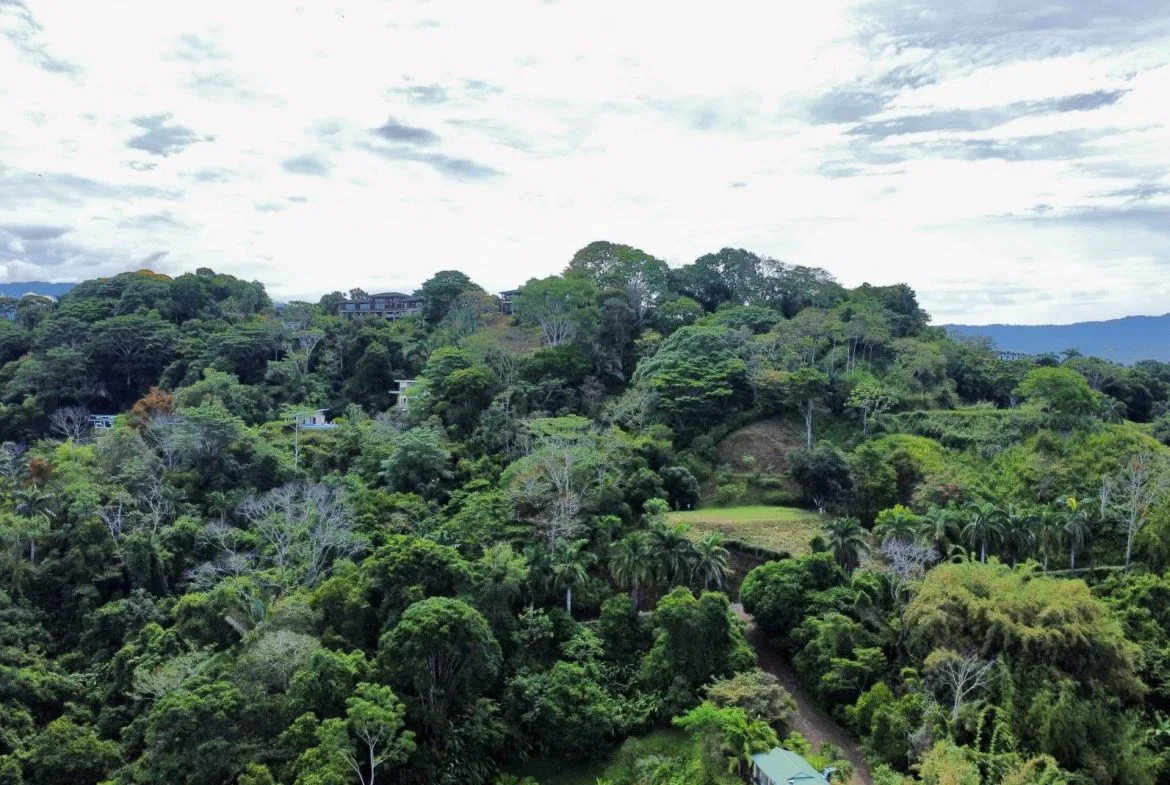 PROPERTY WITH OCEAN AND MOUNTAIN VIEWS, IN LAGUNAS – 3.6 ACRES, photo 10