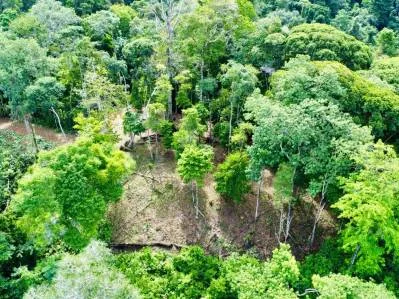 Marvelous Ocean View Parcel in Uvita., photo 17