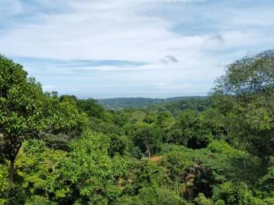 Marvelous Ocean View Parcel in Uvita., photo 18