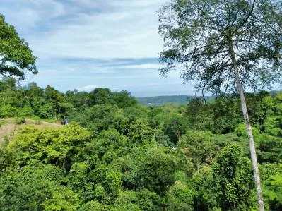 Marvelous Ocean View Parcel in Uvita., photo 19