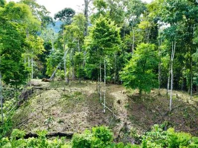 Marvelous Ocean View Parcel in Uvita., photo 20