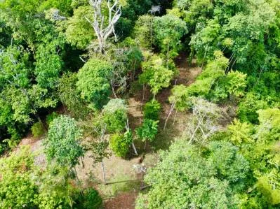 Marvelous Ocean View Parcel in Uvita., photo 21