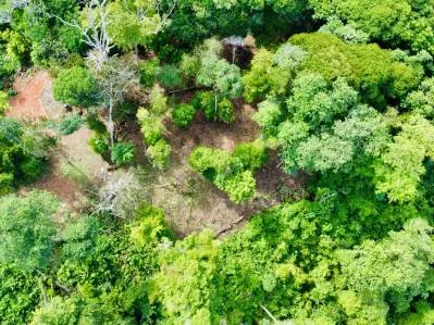 Marvelous Ocean View Parcel in Uvita., photo 22