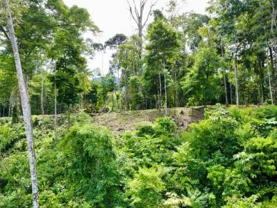 Marvelous Ocean View Parcel in Uvita., photo 23