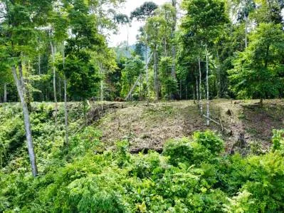 Marvelous Ocean View Parcel in Uvita., photo 24
