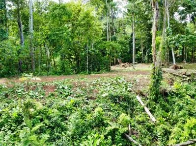 Marvelous Ocean View Parcel in Uvita., photo 25
