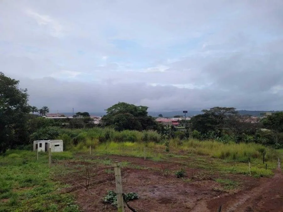 Venta de Lote en San Ramón, Alajuela. - Venta en San Ramón
