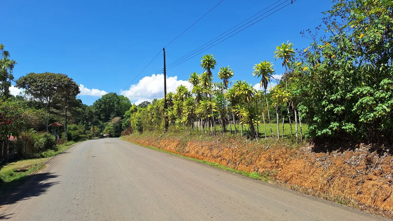 Hidden Tropical Gem, stunning Farm for sale in Santa Elena., photo 6