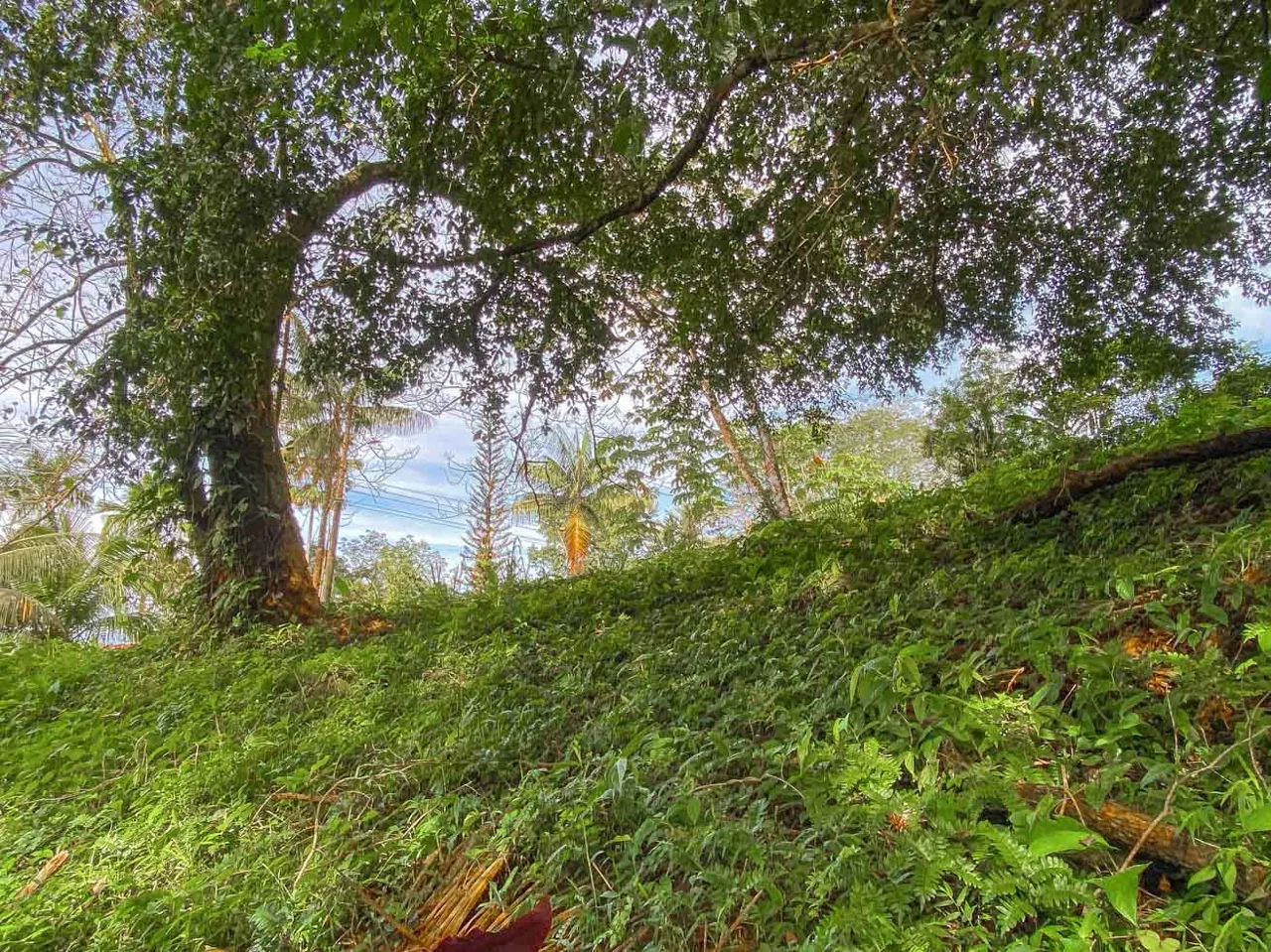 BUILDING PROPERTY WITH PUBLIC ROAD IN FRONT, IN TORTUGA ARRIBA – 0.16 ACRES, photo 11