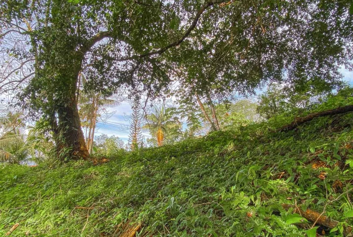 BUILDING PROPERTY WITH PUBLIC ROAD IN FRONT, IN TORTUGA ARRIBA – 0.16 ACRES, photo 12