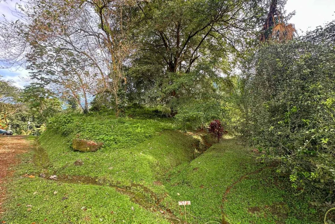 BUILDING PROPERTY WITH PUBLIC ROAD IN FRONT, IN TORTUGA ARRIBA – 0.16 ACRES, photo 14