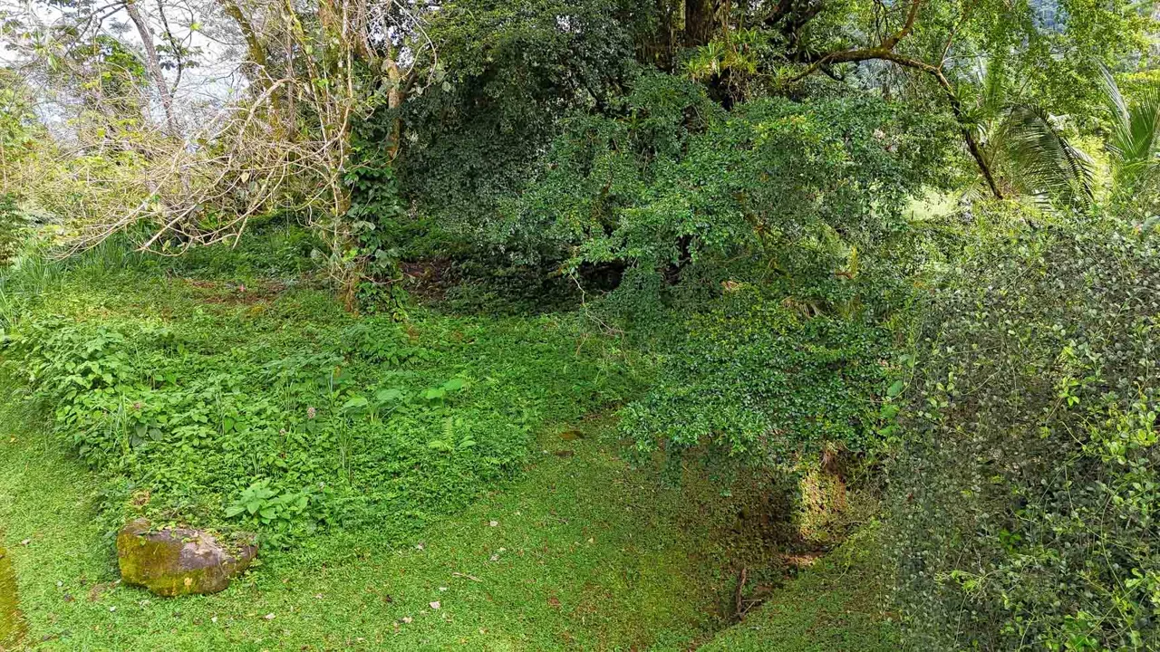 BUILDING PROPERTY WITH PUBLIC ROAD IN FRONT, IN TORTUGA ARRIBA – 0.16 ACRES, photo 15
