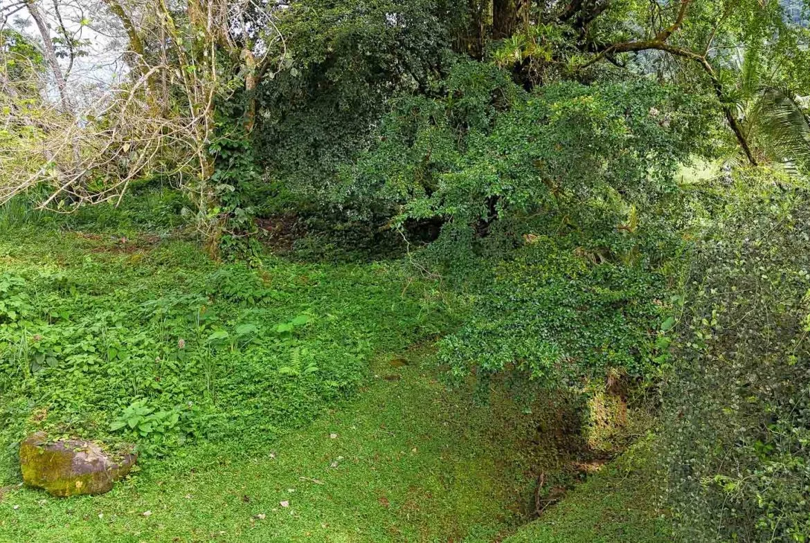 BUILDING PROPERTY WITH PUBLIC ROAD IN FRONT, IN TORTUGA ARRIBA – 0.16 ACRES, photo 16