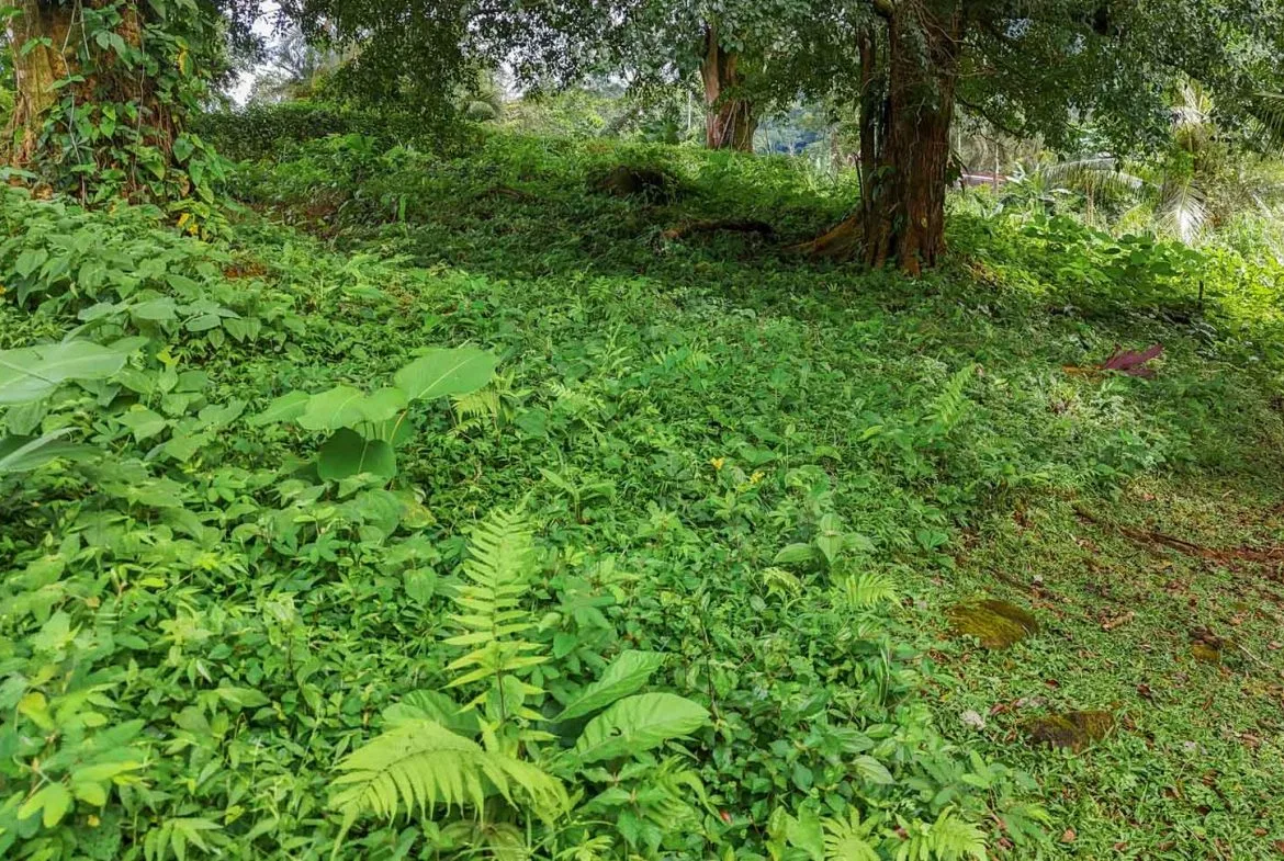 BUILDING PROPERTY WITH PUBLIC ROAD IN FRONT, IN TORTUGA ARRIBA – 0.16 ACRES, photo 18