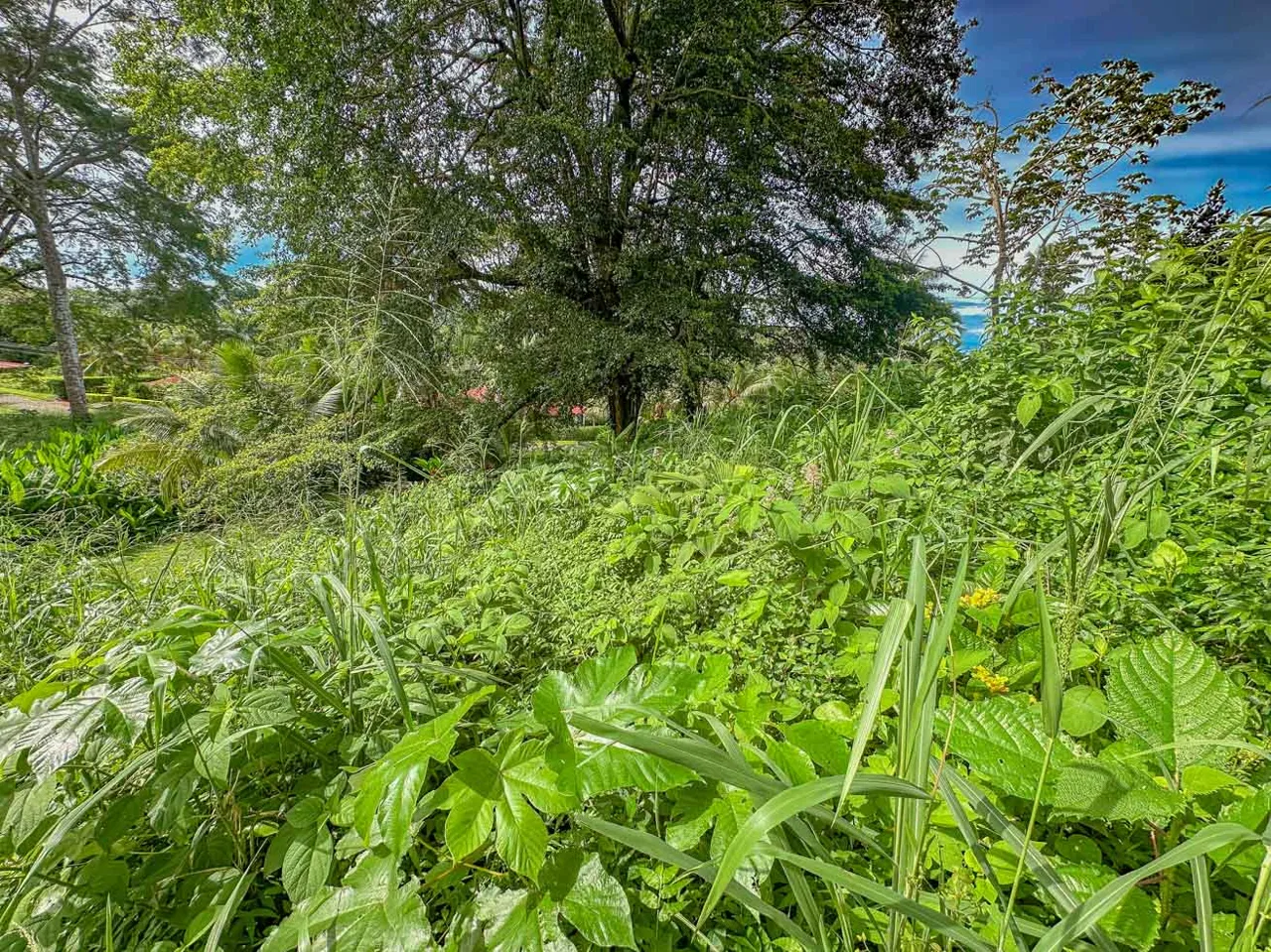 BUILDING PROPERTY WITH PUBLIC ROAD IN FRONT, IN TORTUGA ARRIBA – 0.16 ACRES, photo 19