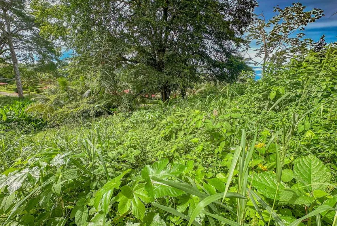 BUILDING PROPERTY WITH PUBLIC ROAD IN FRONT, IN TORTUGA ARRIBA – 0.16 ACRES, photo 20