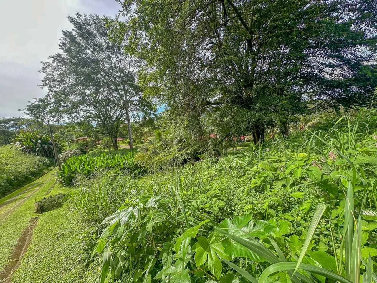 BUILDING PROPERTY WITH PUBLIC ROAD IN FRONT, IN TORTUGA ARRIBA – 0.16 ACRES, photo 21