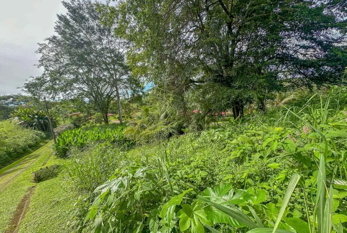 BUILDING PROPERTY WITH PUBLIC ROAD IN FRONT, IN TORTUGA ARRIBA – 0.16 ACRES, photo 22