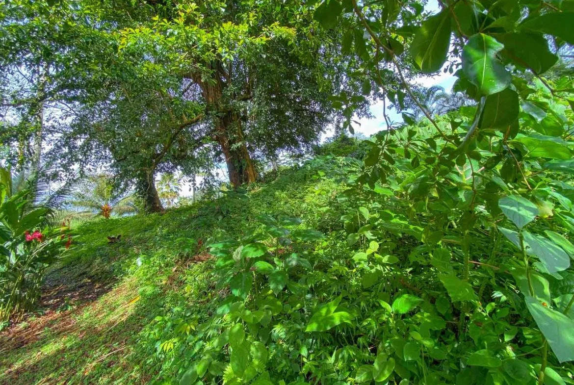BUILDING PROPERTY WITH PUBLIC ROAD IN FRONT, IN TORTUGA ARRIBA – 0.16 ACRES, photo 24