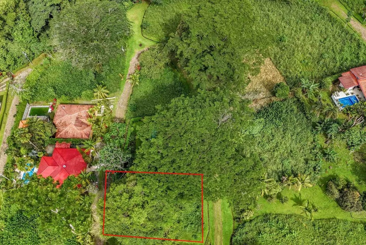 BUILDING PROPERTY WITH PUBLIC ROAD IN FRONT, IN TORTUGA ARRIBA – 0.16 ACRES, photo 4