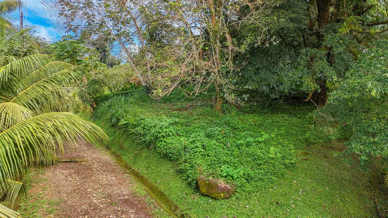 BUILDING PROPERTY WITH PUBLIC ROAD IN FRONT, IN TORTUGA ARRIBA – 0.16 ACRES, photo 7