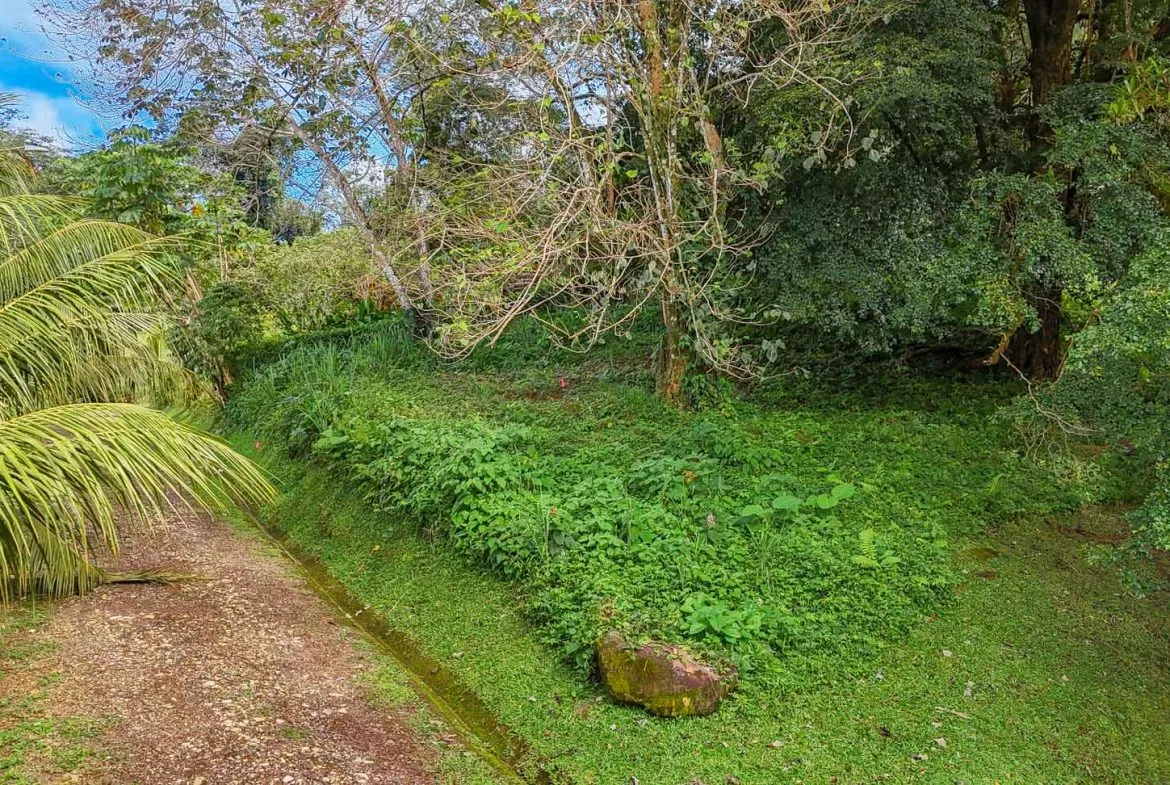 BUILDING PROPERTY WITH PUBLIC ROAD IN FRONT, IN TORTUGA ARRIBA – 0.16 ACRES, photo 8