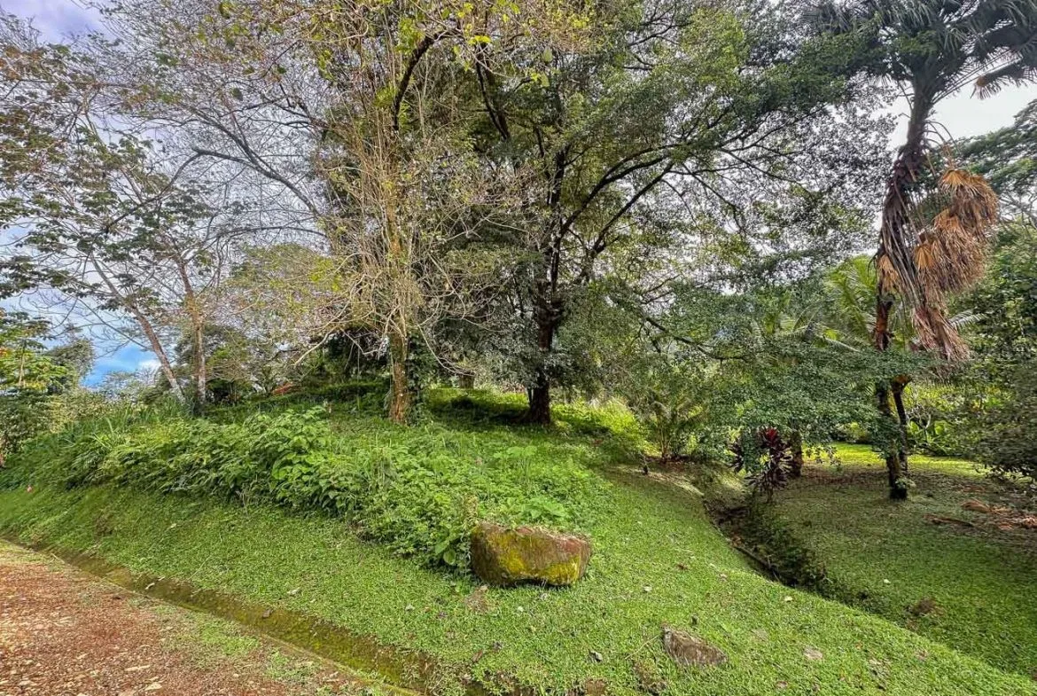 BUILDING PROPERTY WITH PUBLIC ROAD IN FRONT, IN TORTUGA ARRIBA – 0.16 ACRES, photo 10