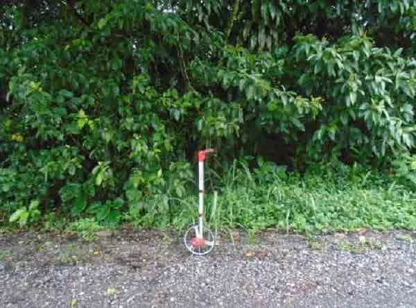Lote en Rita, Pococí (bien adjudicado)