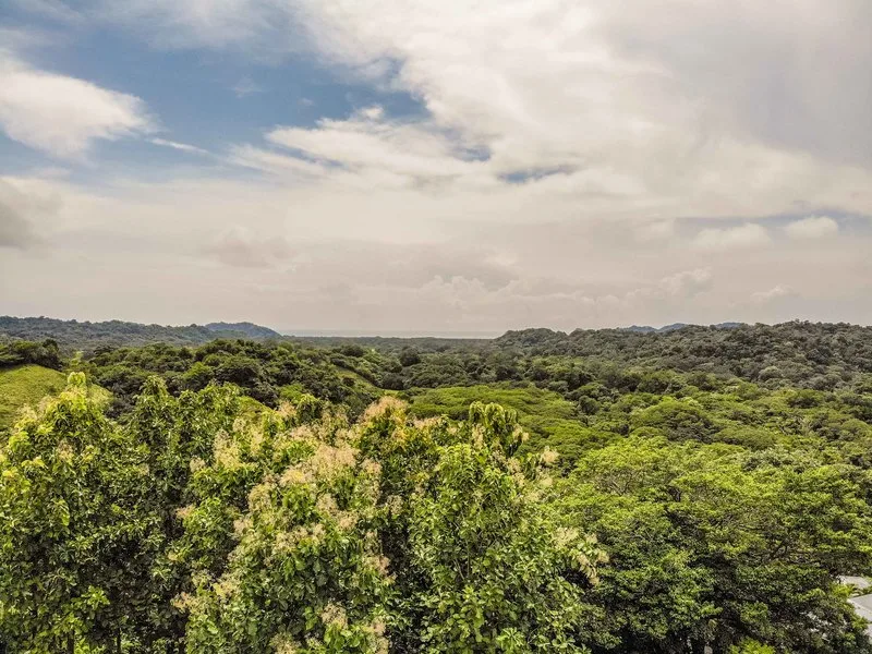 Land For Sale in Samara, photo 11