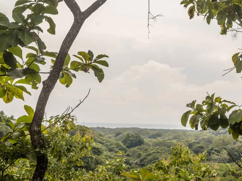 Land For Sale in Samara, photo 14
